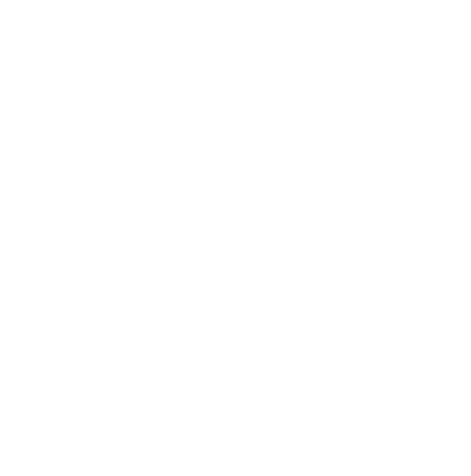 Warrior's Way