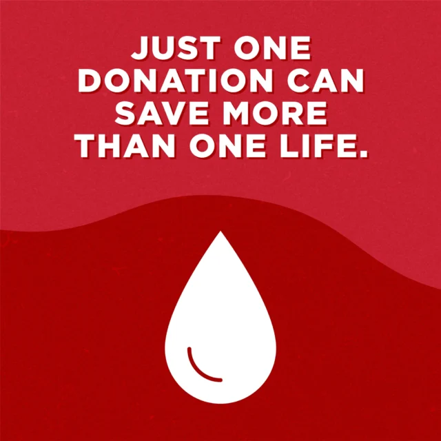 Help us in honoring our earliest member, Trisha Tschopp, at our annual blood drive on November 19th from 1-6 PM at the Power Plant. Our donors will receive Friends Holiday Edition socks from the Red Cross and a free day pass from us!

Sign up with the link in our bio! Hope to see you there!

#blooddrive #bloodsaves #climbinggym