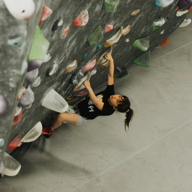 We'll let you in on a little secret: elementary, middle, high school, and college students can enjoy Student Day every Wednesday at either gym.

Climb any time we're open for just $18.

#studentday #climbinggym #climbing #climbsoill #indoorclimbing
